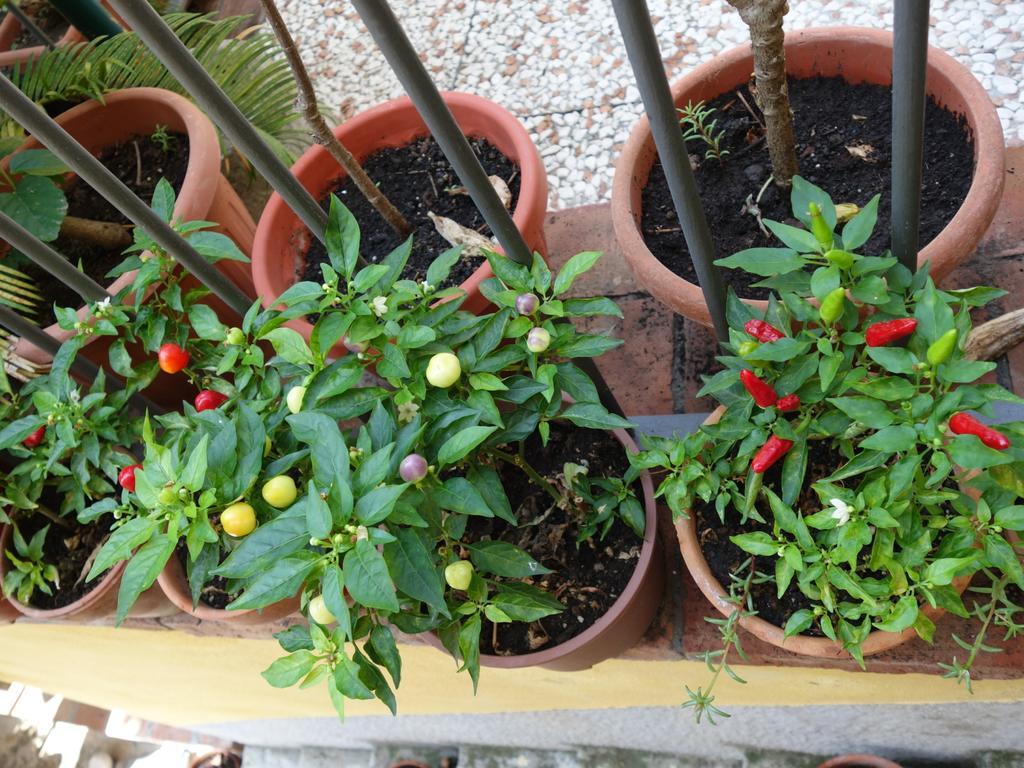 B&B Giulia Taormina Zewnętrze zdjęcie